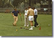 croquet in Central Park